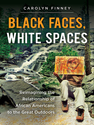 Black Faces, White Spaces - ebook